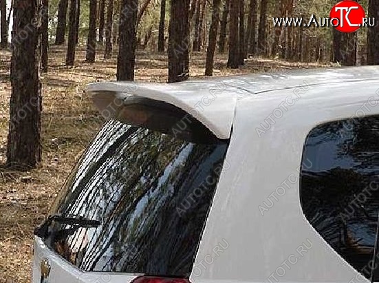 2 899 р. Спойлер CT Chevrolet Aveo T200 хэтчбек 5 дв (2002-2008) (Неокрашенный)  с доставкой в г. Белгород