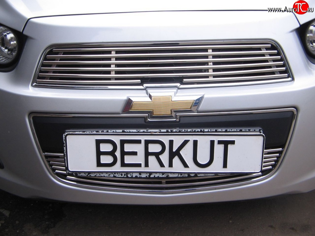 3 999 р. Декоративная вставка воздухозаборника Berkut Chevrolet Aveo T300 седан (2011-2015)  с доставкой в г. Белгород