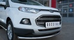 15 649 р. Одинарная защита переднего бампера диаметром 63 мм SLITKOFF  Ford EcoSport (2013-2019) дорестайлинг  с доставкой в г. Белгород. Увеличить фотографию 3