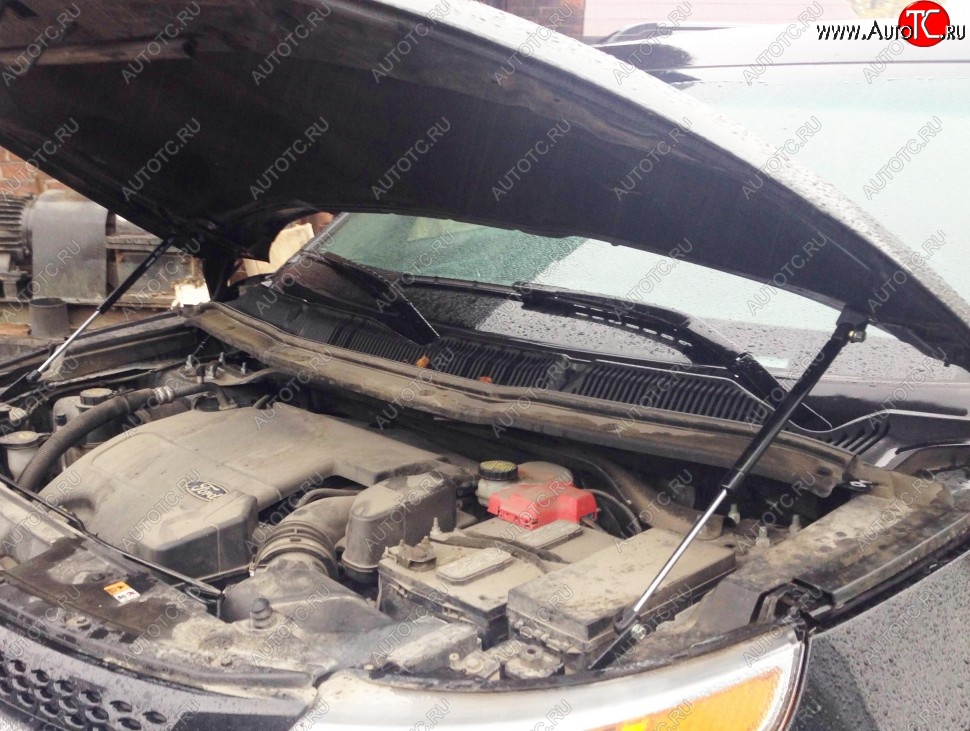 2 199 р. Газовые упоры капота Berkut Ford Explorer U502 дорестайлинг (2010-2016)  с доставкой в г. Белгород