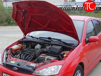 2 969 р. Упор капота Sport Ford Focus 3 седан рестайлинг (2014-2019)  с доставкой в г. Белгород