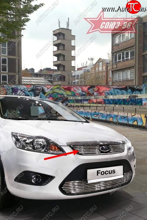 4 094 р. Декоративный элемент решетки радиатора Souz-96 (d10)  Ford Focus  2 (2007-2011) седан рестайлинг, универсал рестайлинг, хэтчбэк 3 дв. рестайлинг, хэтчбэк 5 дв. рестайлинг  с доставкой в г. Белгород