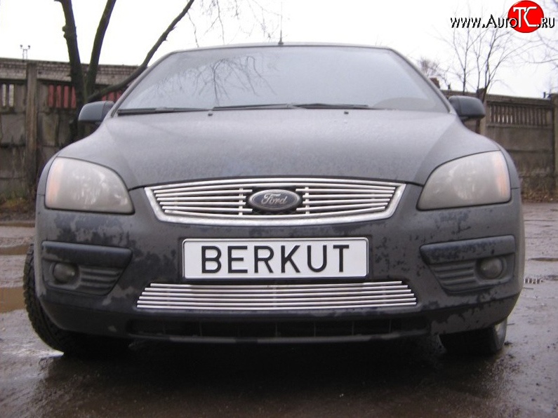 4 999 р. Декоративная вставка решетки радиатора Berkut Ford Focus 2  седан дорестайлинг (2004-2008)  с доставкой в г. Белгород