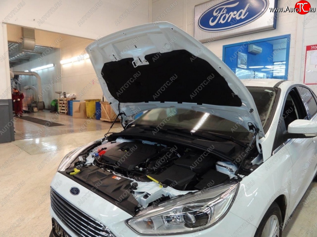 2 199 р. Газовые упоры капота Berkut Ford Focus 3 универсал дорестайлинг (2010-2015)  с доставкой в г. Белгород