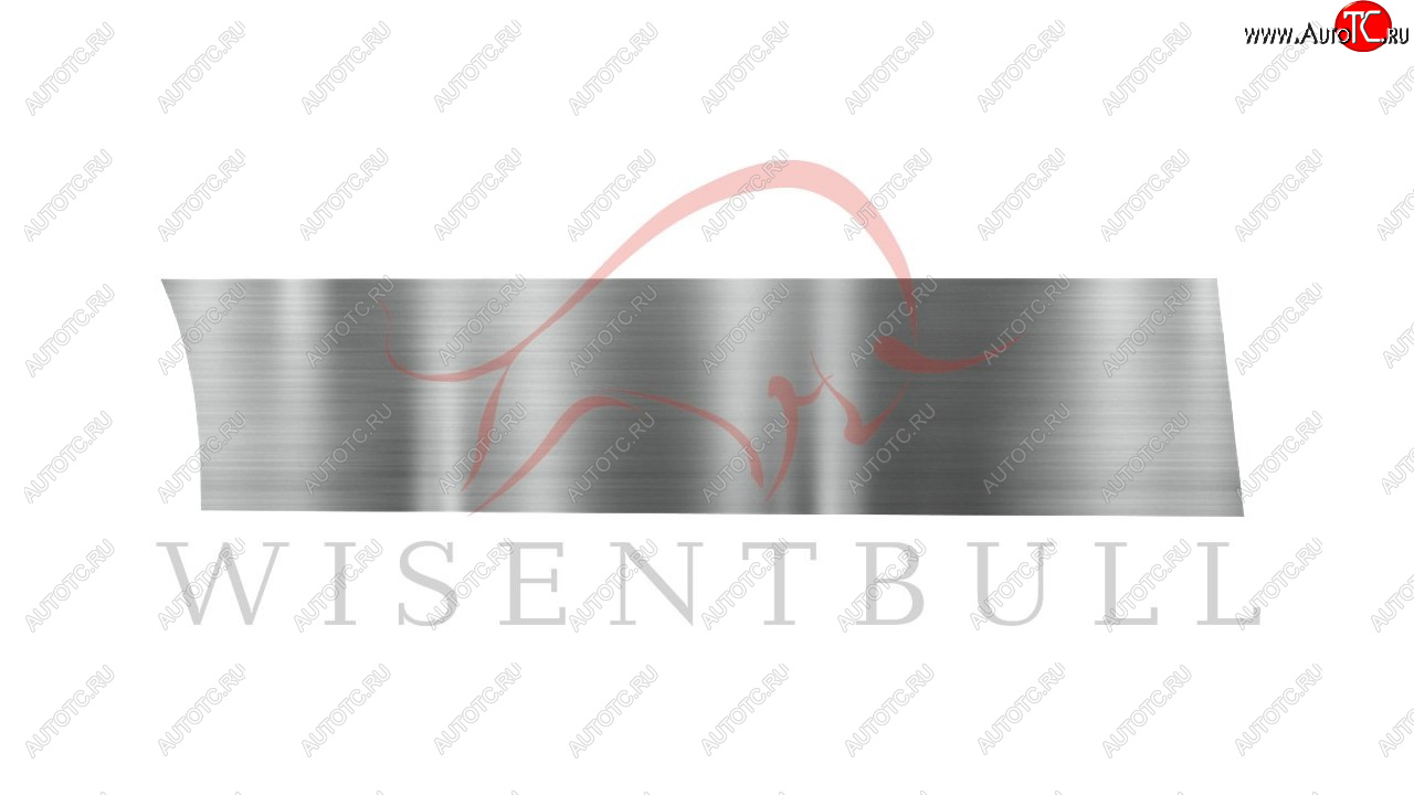 1 989 р. Ремкомплект правой двери Wisentbull Ford Freestar (2003-2007)  с доставкой в г. Белгород