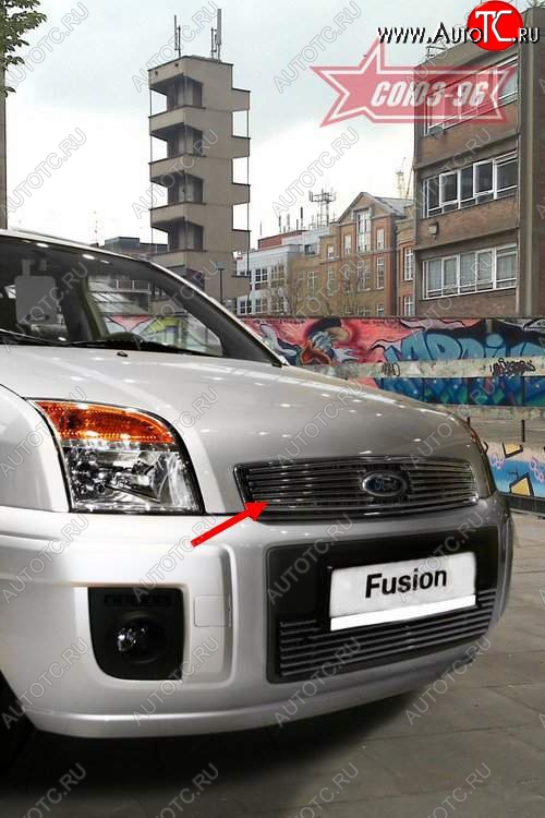3 689 р. Декоративный элемент решетки радиатора Souz-96 (d10)  Ford Fusion  1 (2002-2012) хэтчбэк дорестайлинг,  рестайлинг, хэтчбэк  с доставкой в г. Белгород