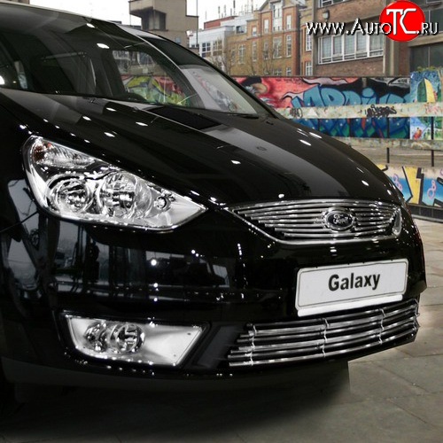3 914 р. Декоративная вставка решетки радиатора Novline  Ford Galaxy  2 (2006-2010) дорестайлинг  с доставкой в г. Белгород