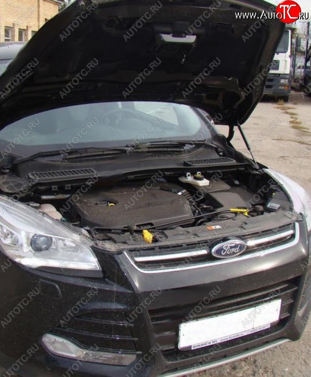 2 199 р. Газовые упоры капота Berkut Ford Kuga 2 дорестайлинг (2013-2016)  с доставкой в г. Белгород