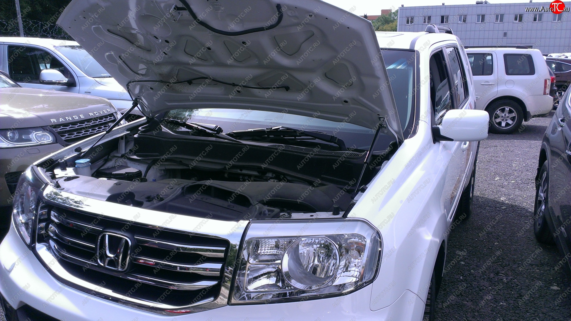 2 299 р. Упоры капота Russtal Honda Pilot YF4 рестайлинг (2011-2015)  с доставкой в г. Белгород