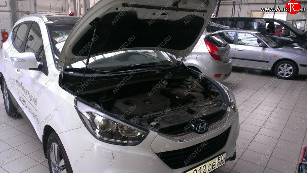 2 199 р. Газовые упоры капота Berkut Hyundai IX35 LM дорестайлинг (2009-2013)  с доставкой в г. Белгород