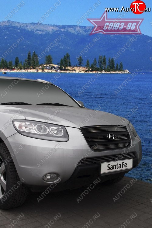 5 354 р. Декоративные элементы решетки радиатора Souz-96 (d10)  Hyundai Santa Fe  CM (2006-2009) дорестайлинг  с доставкой в г. Белгород