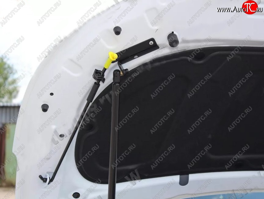 2 689 р. Газовый упор капота Tuning-Sport KIA Rio 3 QB хэтчбек 5 дв. дорестайлинг (2011-2015)  с доставкой в г. Белгород