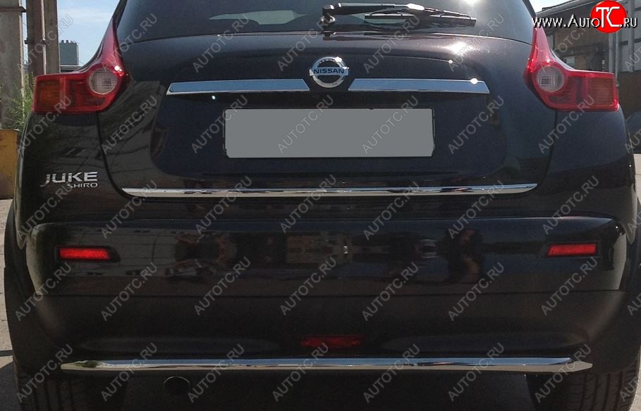 3 049 р. Защита заднего бампера Petroil Tuning (d51, нержавейка) Nissan Juke 1 YF15 дорестайлинг (2010-2014)  с доставкой в г. Белгород