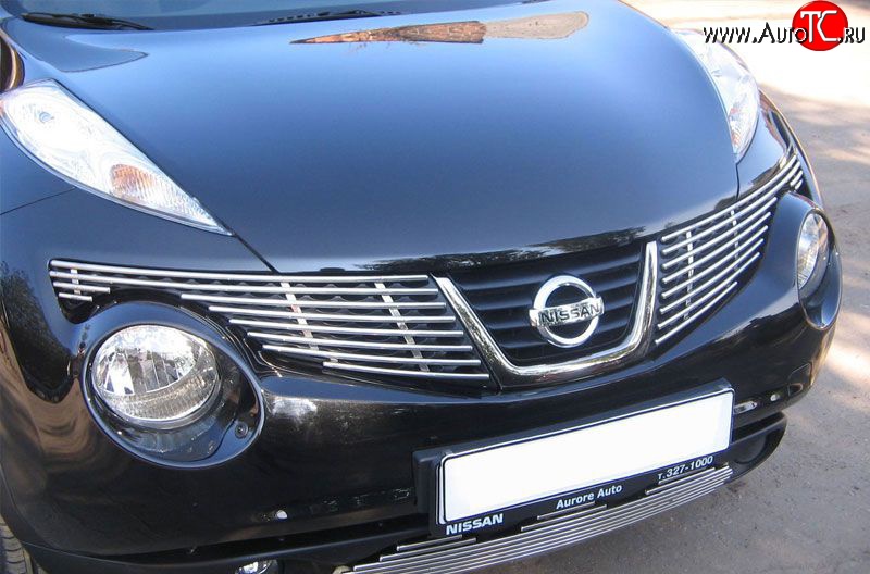 6 499 р. Декоративная вставка решетки радиатора Berkut Nissan Juke 1 YF15 дорестайлинг (2010-2014)  с доставкой в г. Белгород