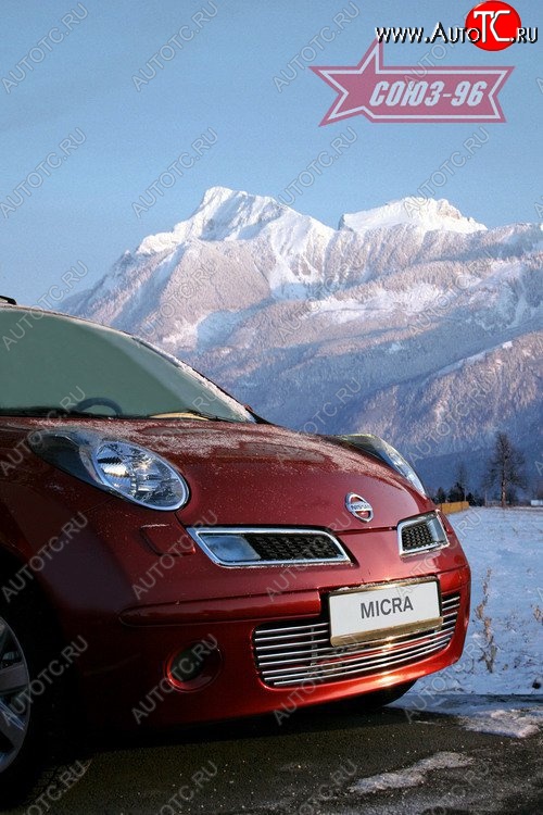 4 004 р. Декоративная вставка воздухозаборника в бампер Souz-96  Nissan Micra  K12 (2002-2010) 5 дв. дорестайлинг, 5 дв. 2-ой рестайлинг  с доставкой в г. Белгород