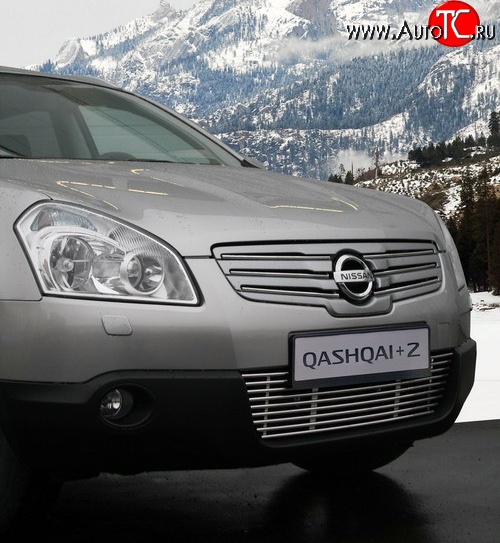 314 р. Декоративные вставки решетки радиатора Novline  Nissan Qashqai +2  1 (2008-2010) J10 дорестайлинг  с доставкой в г. Белгород