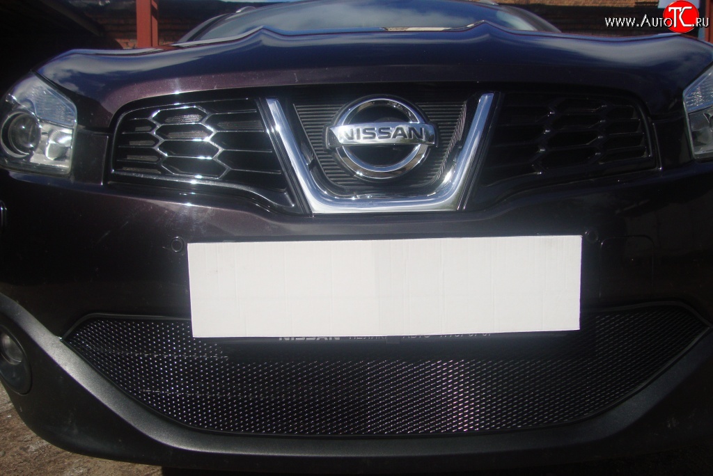 2 099 р. Сетка на бампер Russtal (черная) Nissan Qashqai 1 J10 рестайлинг (2010-2013)  с доставкой в г. Белгород