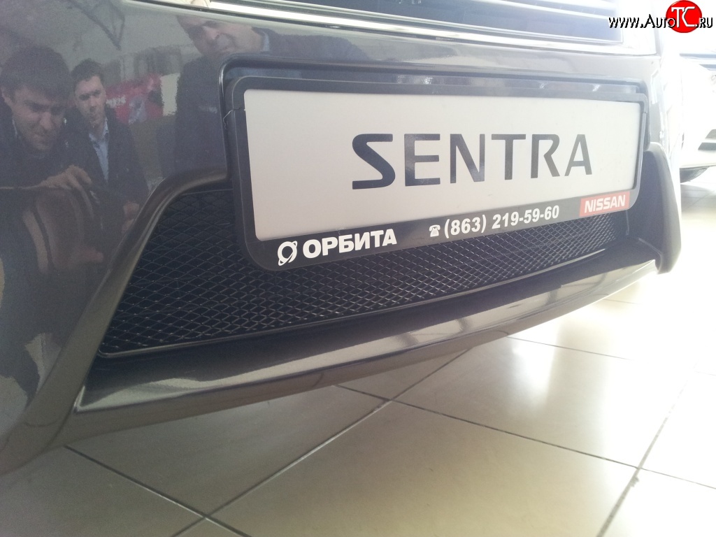 1 799 р. Сетка на бампер Novline Nissan Sentra 7 B17 (2014-2017)  с доставкой в г. Белгород