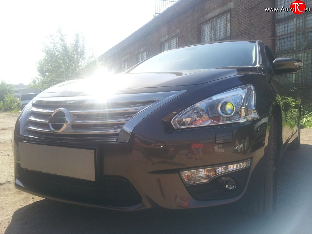 1 469 р. Сетка на бампер Russtal (черная) Nissan Teana 3 L33 дорестайлинг (2014-2020)  с доставкой в г. Белгород