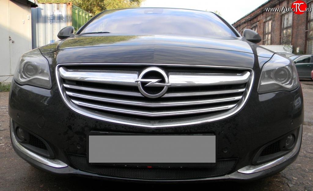 1 469 р. Сетка на бампер (рестайлинг) Russtal (черная) Opel Insignia A дорестайлинг седан (2008-2013)  с доставкой в г. Белгород