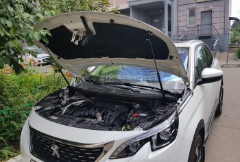 Упоры капота Russtal Peugeot 3008 2 C1A,C2A доресайлинг (2016-2020)