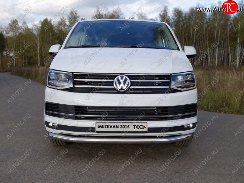 20 599 р. Защита переднего бампера нижняя d60,3 мм ТСС Тюнинг  Volkswagen Transporter  T6 (2015-2019) дорестайлинг (нержавейка)  с доставкой в г. Белгород