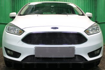 Защитная сетка в бампер (низ, ячейка 3х7 мм) Alfeco Стандарт Ford Focus 3 седан рестайлинг (2014-2019) (Чёрная)