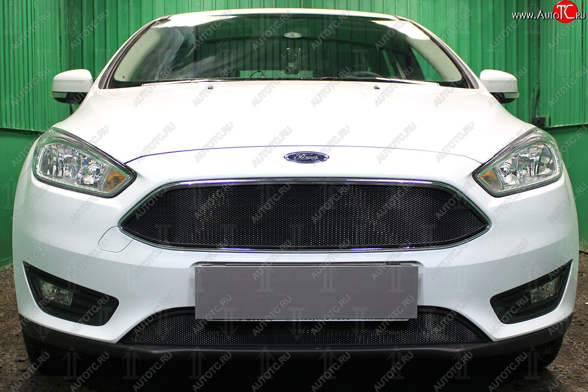2 879 р. Защитная сетка в бампер (низ, ячейка 3х7 мм) Alfeco Стандарт Ford Focus 3 седан рестайлинг (2014-2019) (Чёрная)  с доставкой в г. Белгород