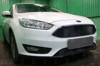2 879 р. Защитная сетка в бампер (низ, ячейка 3х7 мм) Alfeco Стандарт Ford Focus 3 седан рестайлинг (2014-2019) (Чёрная)  с доставкой в г. Белгород. Увеличить фотографию 2