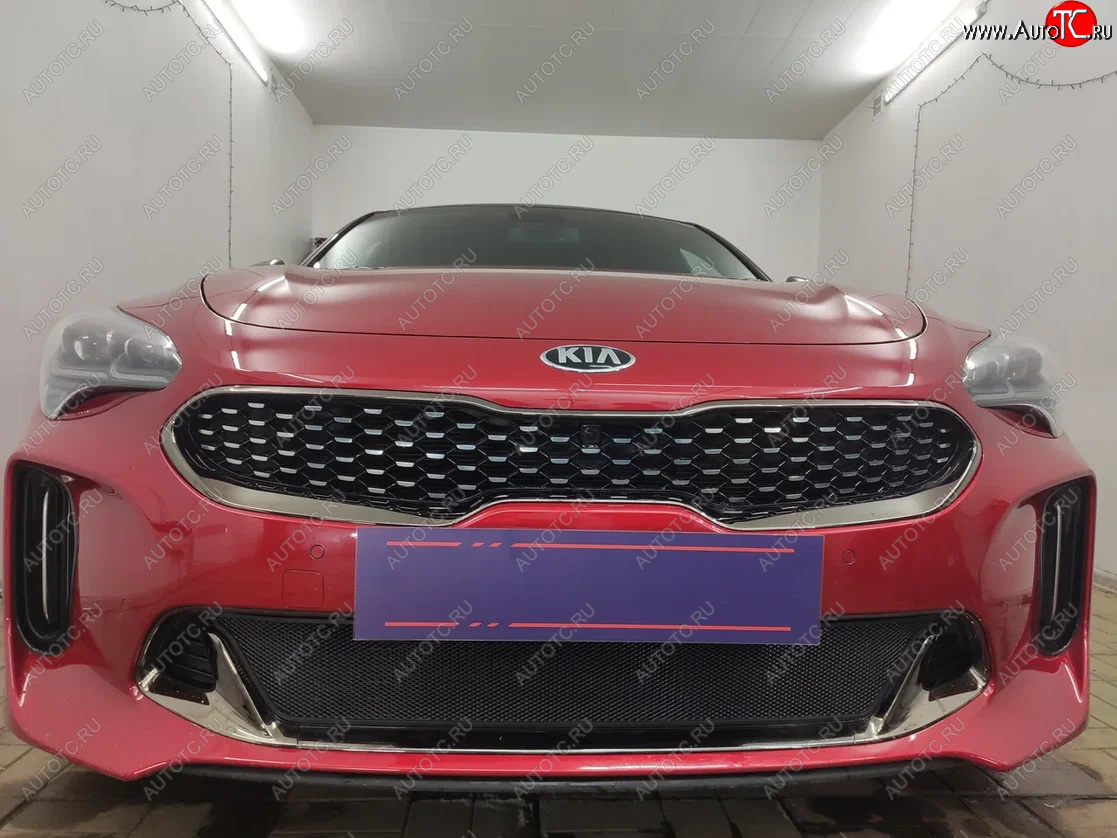 3 089 р. Защитная сетка в бампер (низ, ячейка 3х7 мм) Alfeco Стандарт KIA Stinger (2017-2025) (Чёрная)  с доставкой в г. Белгород