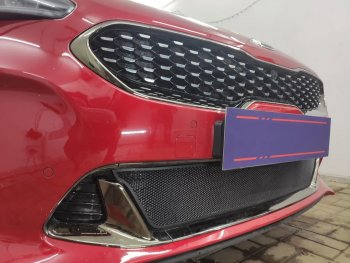 3 089 р. Защитная сетка в бампер (низ, ячейка 3х7 мм) Alfeco Стандарт KIA Stinger (2017-2025) (Чёрная)  с доставкой в г. Белгород. Увеличить фотографию 3