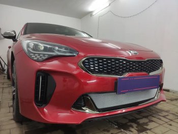 3 489 р. Защитная сетка в бампер (низ, ячейка 3х7 мм) Alfeco Стандарт KIA Stinger (2017-2025) (Хром)  с доставкой в г. Белгород. Увеличить фотографию 3