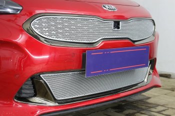 6 299 р. Защитная сетка в бампер (верх, ячейка 4х10 мм) Alfeco Премиум KIA Stinger (2017-2025) (Хром)  с доставкой в г. Белгород. Увеличить фотографию 4