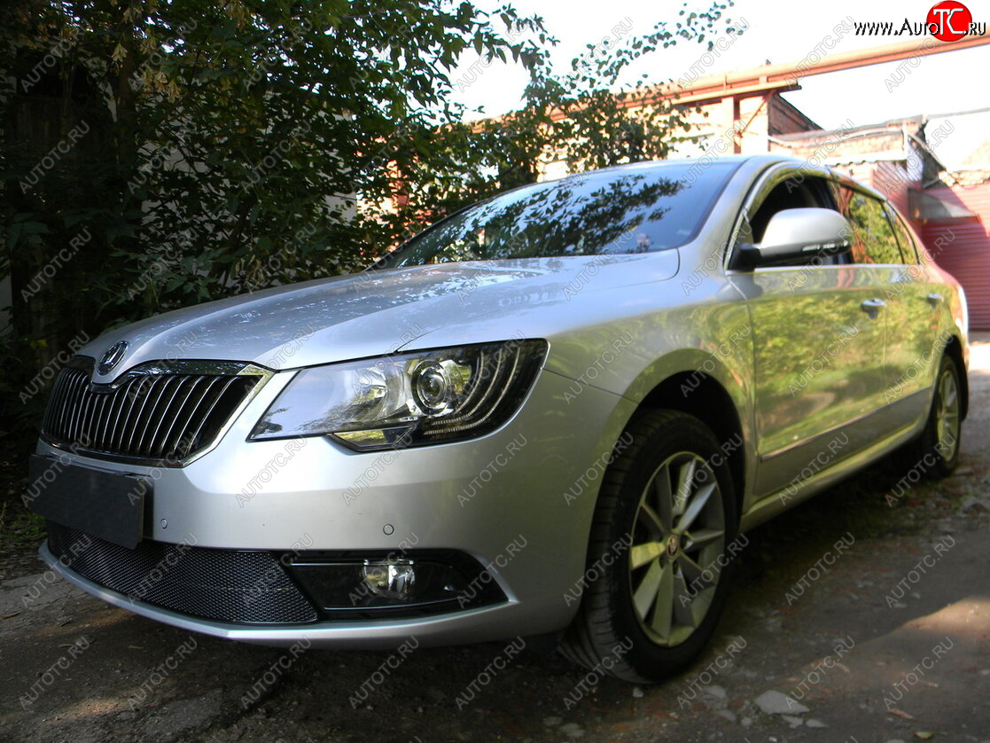 4 649 р. Защитная сетка в бампер (низ, ячейка 4х10 мм) Стрелка11 Премиум Skoda Superb (B6) 3T лифтбэк рестайлинг (2013-2015) (Чёрная)  с доставкой в г. Белгород