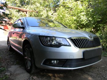 4 649 р. Защитная сетка в бампер (низ, ячейка 4х10 мм) Стрелка11 Премиум Skoda Superb (B6) 3T лифтбэк рестайлинг (2013-2015) (Чёрная)  с доставкой в г. Белгород. Увеличить фотографию 3