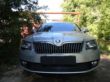 4 649 р. Защитная сетка в бампер (низ, ячейка 4х10 мм) Стрелка11 Премиум Skoda Superb (B6) 3T лифтбэк рестайлинг (2013-2015) (Чёрная)  с доставкой в г. Белгород. Увеличить фотографию 2