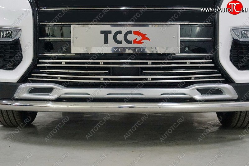 5 599 р. Нижняя декоративная вставка в бампер ТСС Тюнинг EXEED TXL  дорестайлинг (2020-2021) (d 12 мм)  с доставкой в г. Белгород