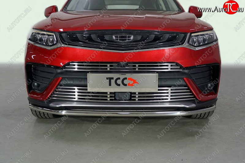 17 999 р. Защита переднего бампера нижняя 42,4 мм ТСС Тюнинг Geely Tugella FY11,HPBA4 дорестайлинг (2019-2023) (нержавейка)  с доставкой в г. Белгород