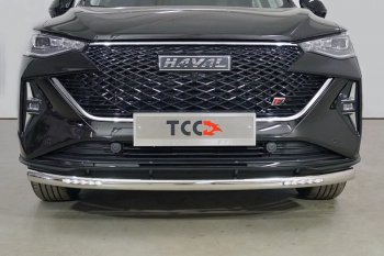 Защита переднего бампера нижняя с ДХО 60,3 мм ТСС Тюнинг Haval F7 рестайлинг (2022-2024) (нержавейка)
