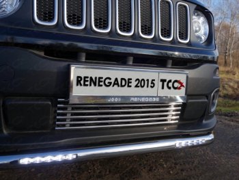 Нижняя декоративная вставка в бампер ТСС Тюнинг Jeep Renegade 1 BU дорестайлинг (2014-2020) (d 12 мм)