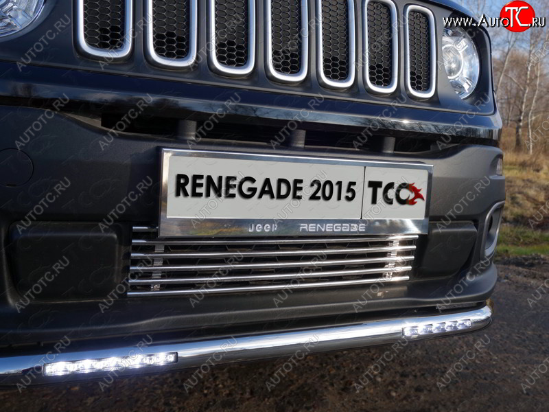 5 849 р. Нижняя декоративная вставка в бампер ТСС Тюнинг Jeep Renegade 1 BU дорестайлинг (2014-2020) (d 12 мм)  с доставкой в г. Белгород
