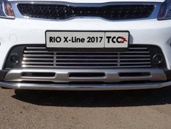 Нижняя декоративная вставка в бампер ТСС Тюнинг KIA Rio X-line (2017-2021) (d 12 мм)