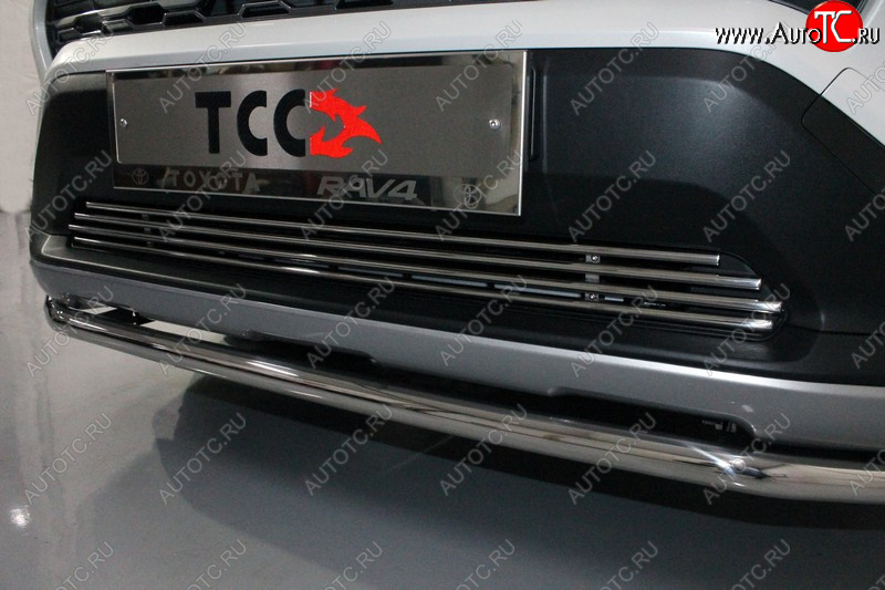 7 349 р. Нижняя декоративная вставка в бампер ТСС Тюнинг Toyota RAV4 XA50 5 дв. дорестайлинг (2018-2025) (d 12 мм)  с доставкой в г. Белгород