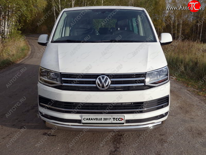 25 499 р. Защита переднего бампера нижняя овальная 75х42 мм ТСС Тюнинг Volkswagen Caravelle T6 дорестайлинг (2015-2019) (нержавейка)  с доставкой в г. Белгород