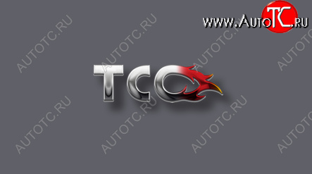 41 749 р. Пороги с площадкой 60,3 мм ТСС Тюнинг Volkswagen Caravelle T6 дорестайлинг (2015-2019) (серые)  с доставкой в г. Белгород
