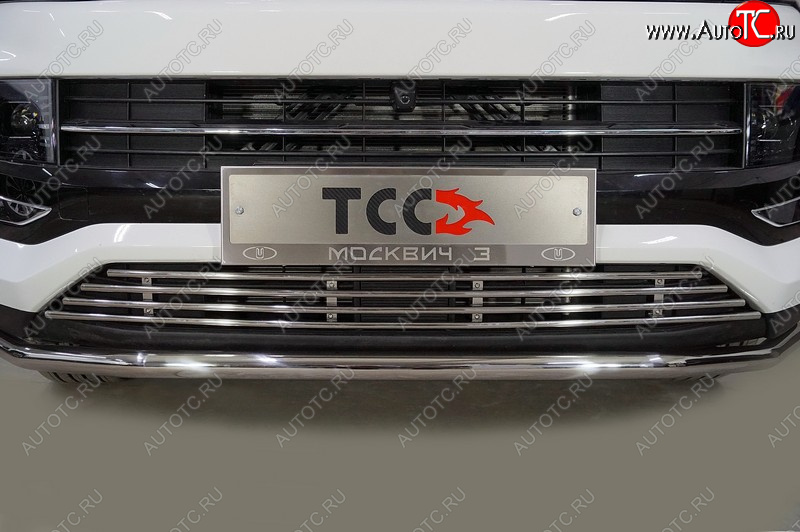 6 549 р. Декоративная вставка переднего бампера ТСС Тюнинг Москвич 3 DA21 (2022-2025) (d 12 мм)  с доставкой в г. Белгород