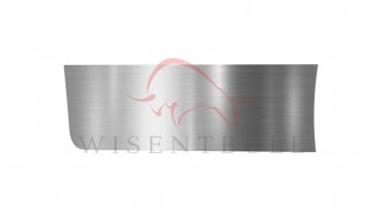 Ремкомплект левой двери Wisentbull Mazda Atenza GG универсал дорестайлинг (2002-2005)