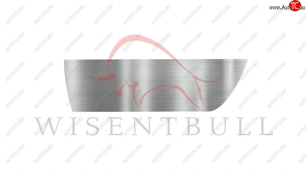 1 989 р. Ремкомплект левой двери Wisentbull  Nissan Almera  N16 - Sunny  N16  с доставкой в г. Белгород