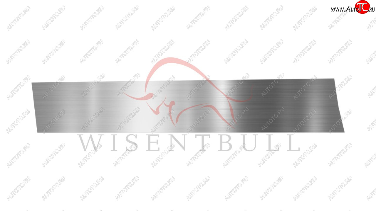 1 989 р. Ремкомплект левой двери Wisentbull Peugeot 406 8E,F универсал рестайлинг (1999-2004)  с доставкой в г. Белгород