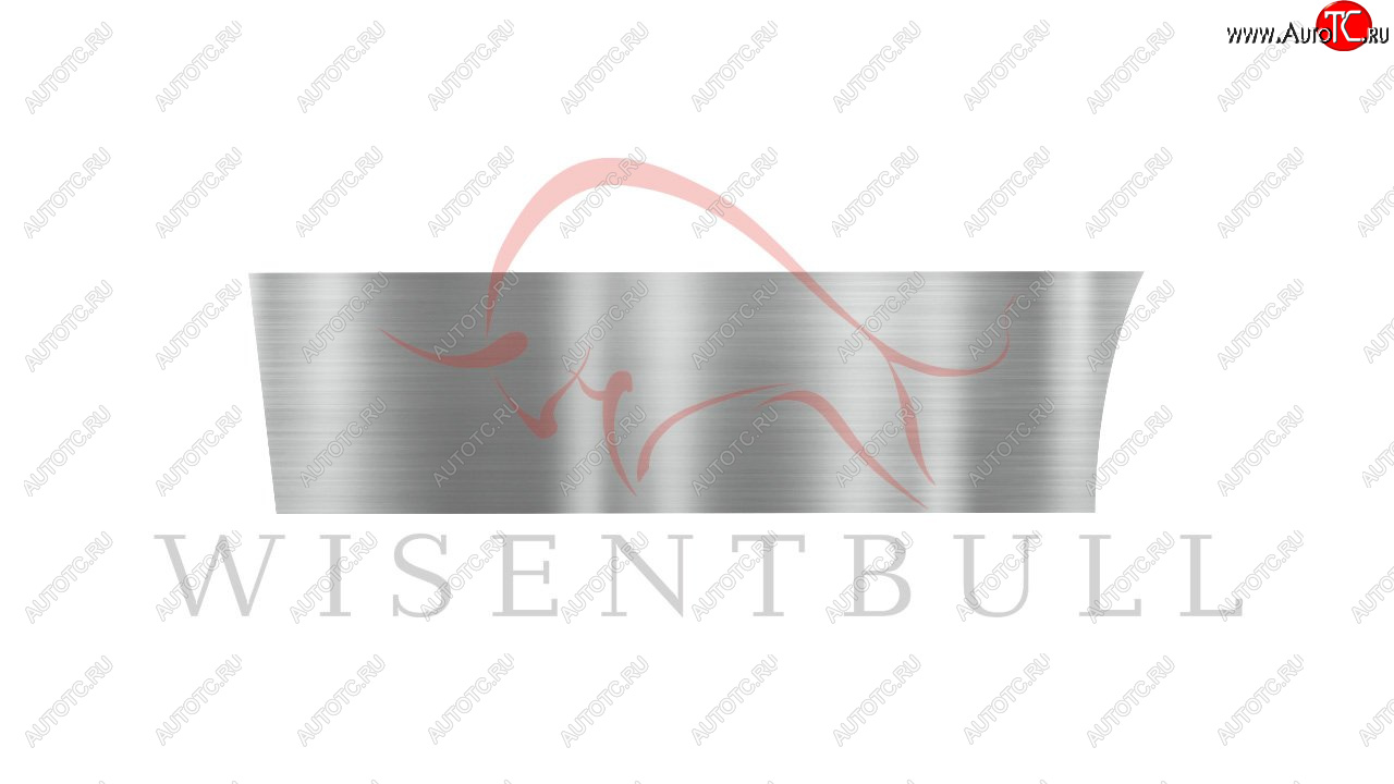 1 989 р. Ремкомплект левой двери Wisentbull  Toyota Opa (2000-2005)  с доставкой в г. Белгород